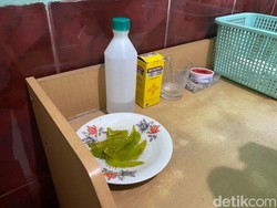 Ramuan Ajaib Bunga Kencana Obati Patah Tulang di Kampung Sangkal Putung