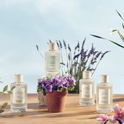 Koleksi 15 Parfum Chloe, Hadirkan Kemewahan Aroma Bunga Segar