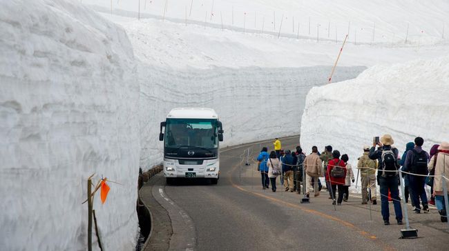 Jalur 'Tembok Salju' di kawasan Gunung Tateyama, Jepang, kembali dibuka. Pelancong bisa melintasi jalur yang diapit dengan dinding salju setinggi 20 meter.