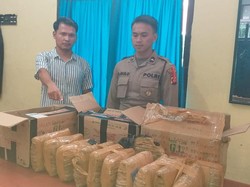 Pengiriman 12 Kg Ganja Via Bandara Silangit Taput Digagalkan, Pelaku Diburu