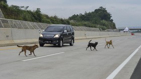 FOTO: Tol Cisumdawu Dibuka Fungsional untuk Arus Mudik Lebaran 2023
