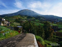 Sungguh, Nepal Van Java Secantik Itu!