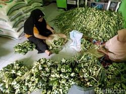 Sibuknya Perajin Ketupat Banyumas, Order Menggunung Jelang Lebaran