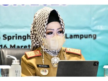 Bergaji Kecil, Ini Deretan Harta Rp2,7 M Reihana Kadinkes 'Abadi' Lampung