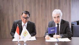 Matangkan Skema JETP, Kolaborasi PLN-IEA Akselerasi Transisi Energi