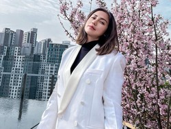 Runutan Kasus Jessica Iskandar: Ngadu ke Jokowi hingga Red Notice Christoper