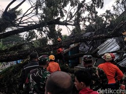 Pohon Tumbang, Akses Menuju Palabuhanratu Sukabumi Sempat Lumpuh
