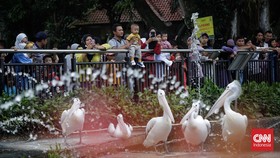 Pengunjung Padati Ragunan H+2 Lebaran, Sebagian Parkir Pinggir Jalan