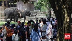 H+2 Lebaran, Jumlah Pengunjung Ragunan Tembus 96 Ribu