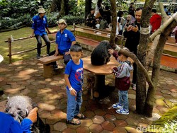3.000 Wisatawan Kunjungi Kebun Binatang Bandung pada Hari Kedua Lebaran