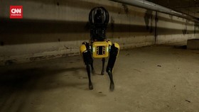 VIDEO: Robot Mirip Anjing Bantu Perbaiki Jaringan Kereta Metro Paris