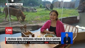 VIDEO: Berlibur Bersama Keluarga ke Solo Safari