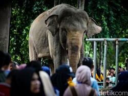 Jam Buka dan Harga Tiket Kebun Binatang Ragunan Selama Libur Lebaran 2024