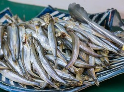 5 Fakta Ikan Shisamo, Ikan Laut Mahal yang Dimakan Rayyanza