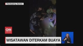 VIDEO: Waspada Saat Berwisata, Wisatawan DIterkam Buaya