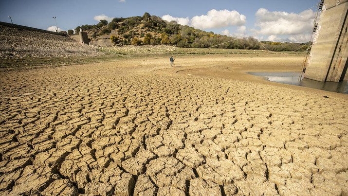 Pemandangan Lembah Chiba, yang menampung penyu air yang terancam kehilangan habitat alaminya akibat kekeringan di wilayah tersebut, di Nabeul, Tunisia pada 11 April 2023. (Yassine Gaidi/Anadolu Agency via Getty Images)