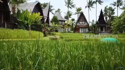 Detik Network