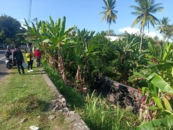 Hindari Motor Ngerem Mendadak, 1 Bus Nyungsep ke Kebun Sedalam 15 Meter
