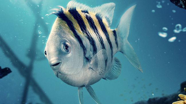 Jacob Tremblay selaku pengisi suara bela desain ikan Flounder versi live-action. Menurutnya, itu cocok dengan gambaran besar film itu.