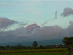 Muntahkan Lava Pijar Sejauh 2 Km, Semeru Terekam Alami 24 Kali Letusan
