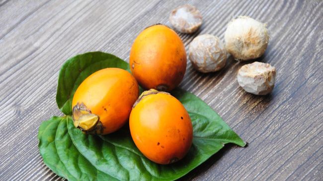 “10 Benefits of Young Areca Nut for Women’s Fertility and Health”