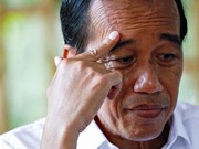 Jokowi Belum Mau Bicara Kandidat Panglima TNI dan KSAD