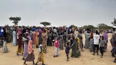 Kelaparan akibat Perang, Warga Sudan Makan Rumput dan Kulit Kacang