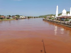 WALHI Sulsel Desak Polisi Usut PT CLM Terkait Pencemaran Sungai Malili