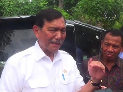 Luhut Dorong Produksi Plastik Berbahan Rumput Laut