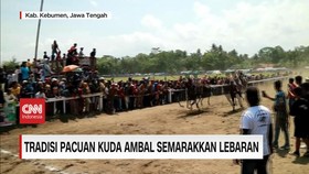 VIDEO: Tradisi Pacuan Kuda Ambal Semarakkan Lebaran