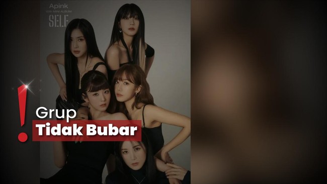 4 Anggota Apink Tinggalkan IST Entertainment, Jung Eunji Lanjutkan Kontrak