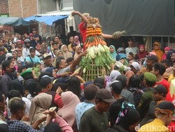Tradisi Bulusan di Hadipolo Kudus, Kirab Gunungan hingga Beri Makan Bulus