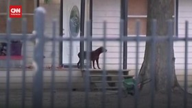 VIDEO: Penembakan di Rumah AS, Lima Orang Tewas