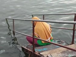 Fenomena Ubur-ubur Serbu Perairan Probolinggo Jadi Tontonan Warga