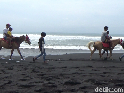 Serunya Keliling Pantai Watu Pecak Lumajang Naik Kuda dan Nikmati Seafood