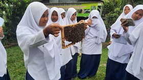 Kisah Pengusaha Madu Siantar Sukses Bersama BRI Berdayakan Masyrakat