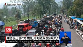 VIDEO: Arus Lalu Lintas Menuju Puncak Semrawut