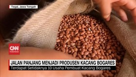 VIDEO: Jalan Panjang Menjadi Produsen Kacang Bogares