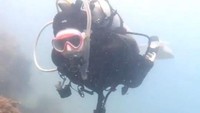 <p>"Aku selalu membandingkan diri aku sekarang dengan diri aku di masa lalu. Kalau di masa lalu Prilly yang dulu snorkeling aja takut, Prilly yang sekarang harus berani menghadapi ketakutannya," tuturnya. (Foto: TikTok@prillylatuconsina15)</p>