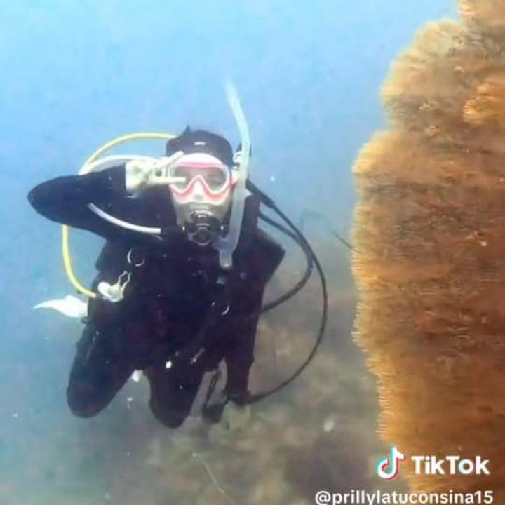 <p>Kerap membuat para penggemar dan orang sekitarnya bangga dengan pencapaian yang telah diraihnya, Prilly menuai banyak pujian publik di kolom komentarnya. "kenapa keren bgt sih prilll," tulis akun <em>@melyyas****.</em> "Memang wanita hebat dan pemberani <em>@prillylatuconsina96</em> sehat selalu," tulis <em>@mbakhan****.</em> (Foto: TikTok@prillylatuconsina15)</p>