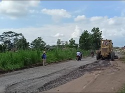 Harapan Warga Rumbia Lampung pada Jokowi soal Jalan Rusak