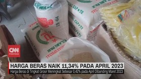 VIDEO: Harga Beras Naik 11,34% Pada April 2023