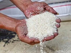 Waspada! 12 Provinsi Ini Rawan Kena Krisis Pangan