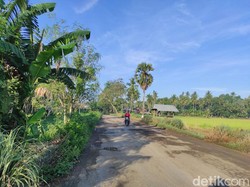 Pemkab Bone Butuh Anggaran Rp 2,8 Triliun Perbaiki Jalan Rusak 629 Km
