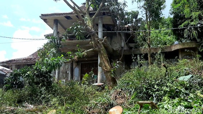 Viral di TikTok! Seorang Dokter Hidup Sendirian di Rumah Mewah yang Penuh Sampah di Karawang