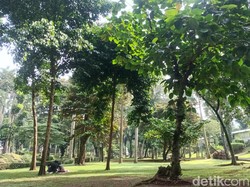 5 Ide Aktivitas di Taman Langsat yang Dulu Angker