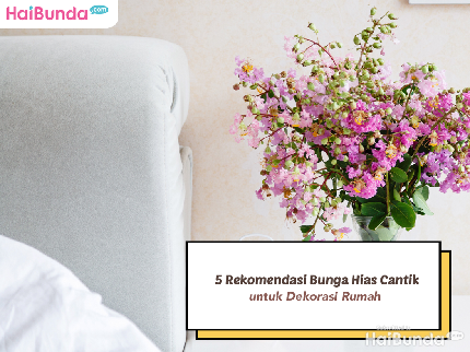 5 Rekomendasi Bunga Hias Cantik untuk Dekorasi Rumah, Pilih yang Mana?