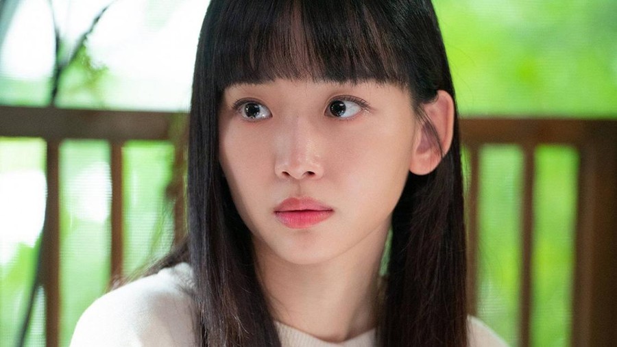 Drama Korea My Perfect Stranger