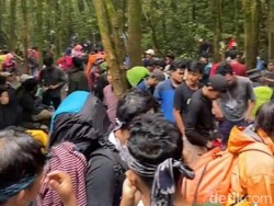 Viral Macet Akibat Pendaki Ilegal di Gunung Gede Pangrango