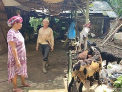 Trik Warga Ciamis Hindari Ternaknya Dimangsa Ajag